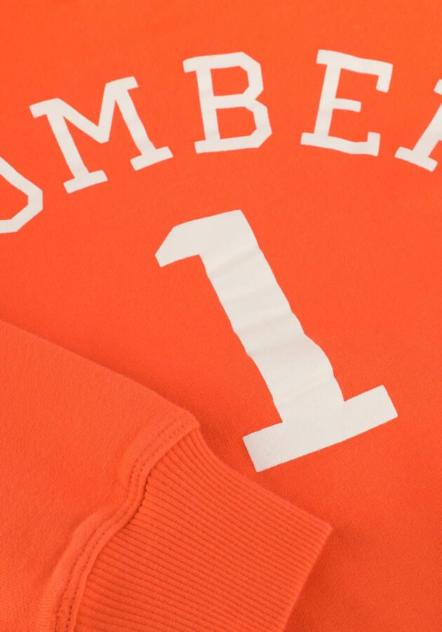 JENEST Jongens Truien & Vesten Bird N1 Sweater Oranje - Foto 2