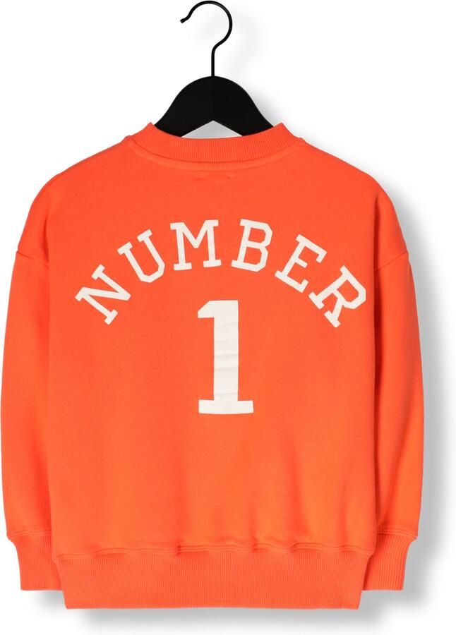 JENEST Jongens Truien & Vesten Bird N1 Sweater Oranje