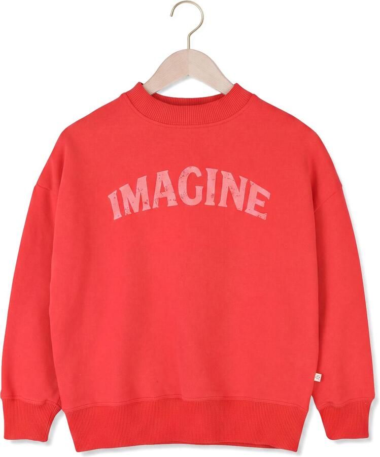 JENEST Jongens Truien & Vesten Bird Sweater Rood