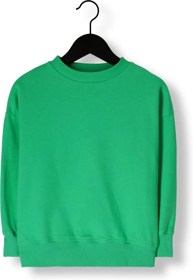 JENEST Meisjes Truien & Vesten Art Bird Sweater Groen - Foto 2