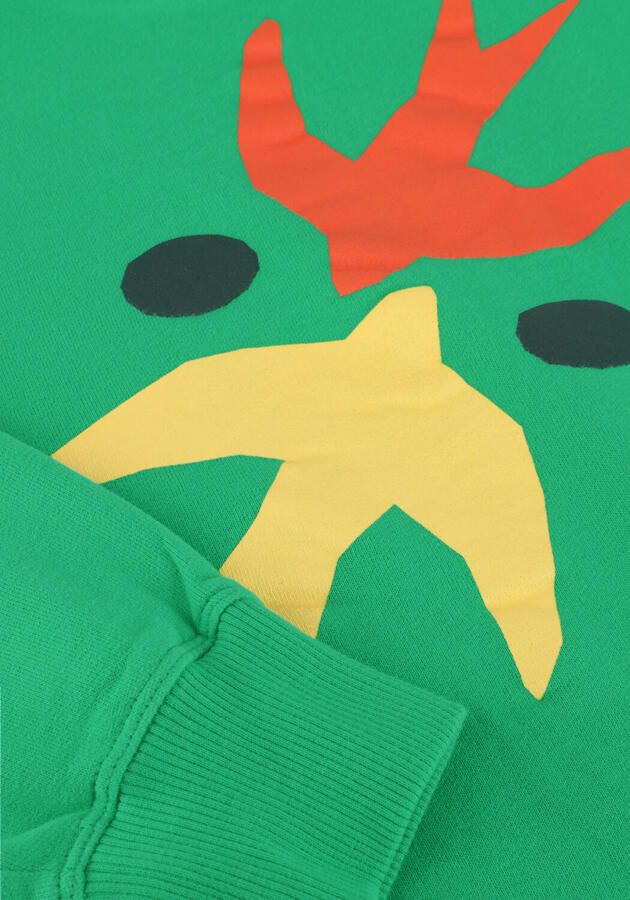JENEST Meisjes Truien & Vesten Art Bird Sweater Groen