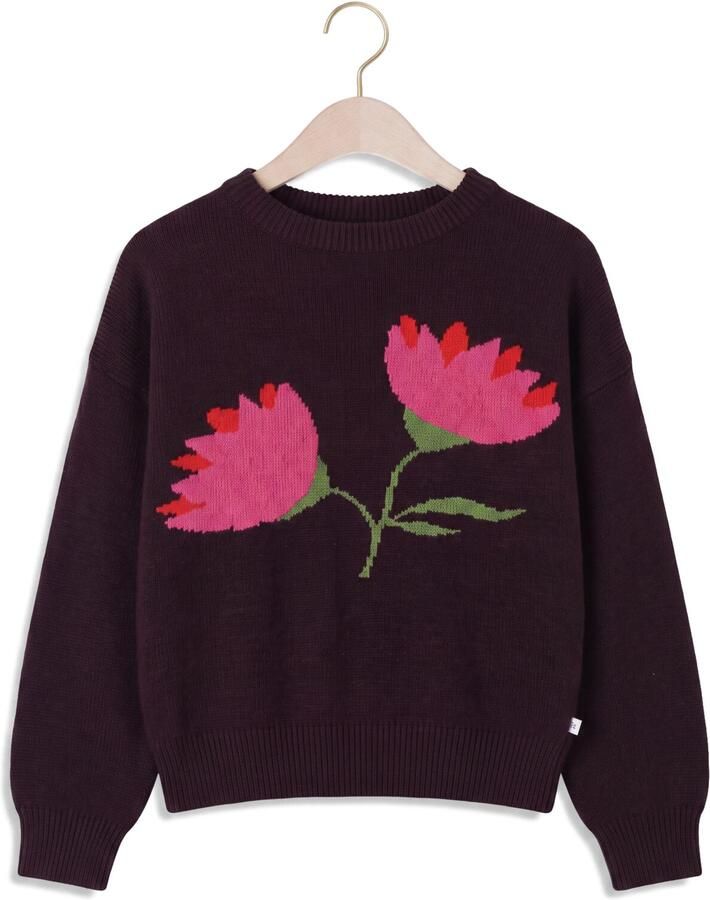 JENEST Meisjes Truien & Vesten Belly Pullover Bordeaux