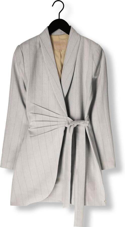 JOSH V Dames Jurken Bonita Lichtgrijs - Foto 3