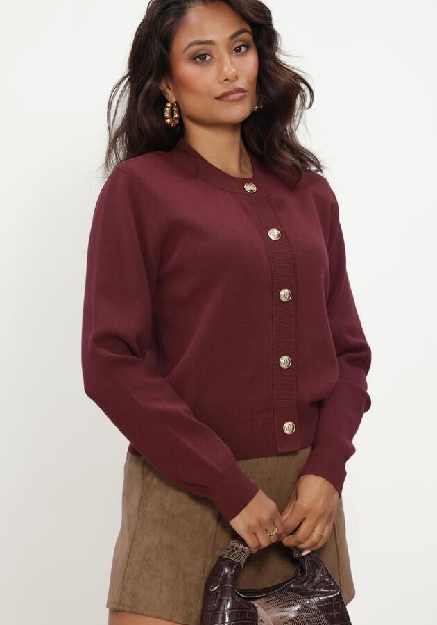 JOSH V Dames Truien & Vesten Fliss Cardigan Bordeaux - Foto 3
