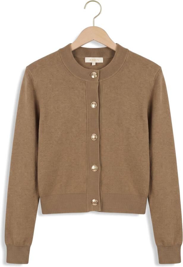 JOSH V Dames Truien & Vesten Fliss Cardigans Camel - Foto 4