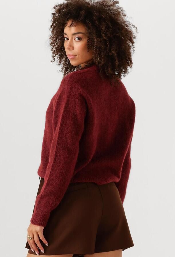 JOSH V Dames Truien & Vesten Fresia Bordeaux - Foto 2