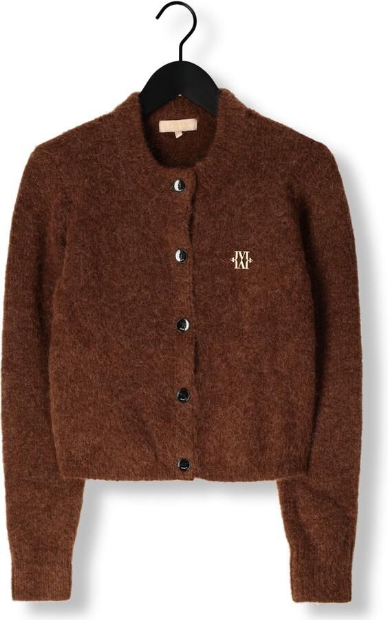 JOSH V Dames Truien & Vesten Pauline Bruin - Foto 3