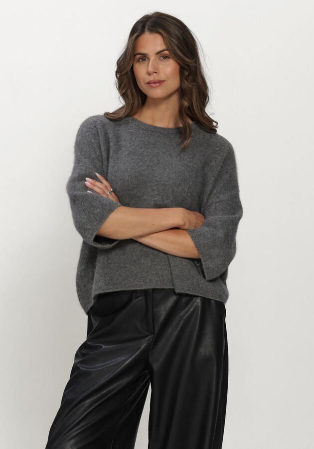 KNIT-TED Dames Truien & Vesten Hans Top Grijs