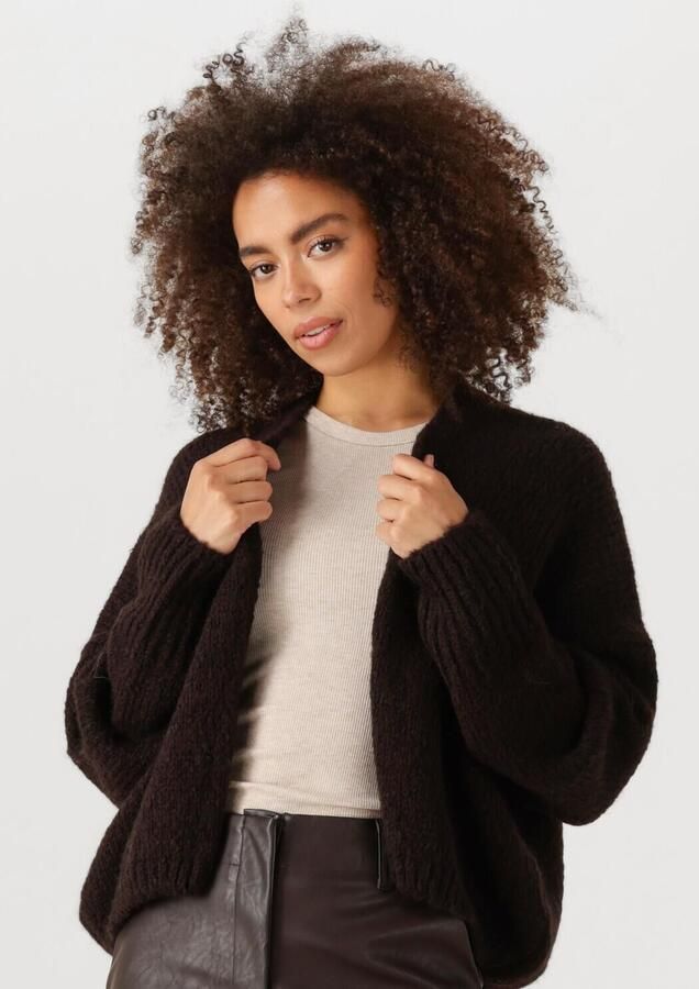 KNIT-TED Dames Truien & Vesten Becky Bruin - Foto 4