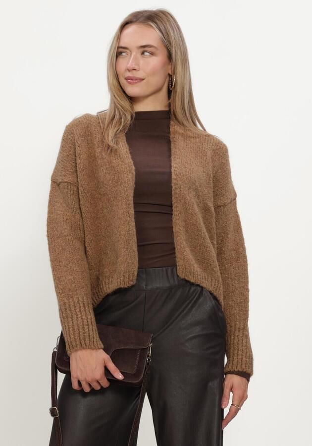 KNIT-TED Dames Truien & Vesten Becky Cardigan Bruin