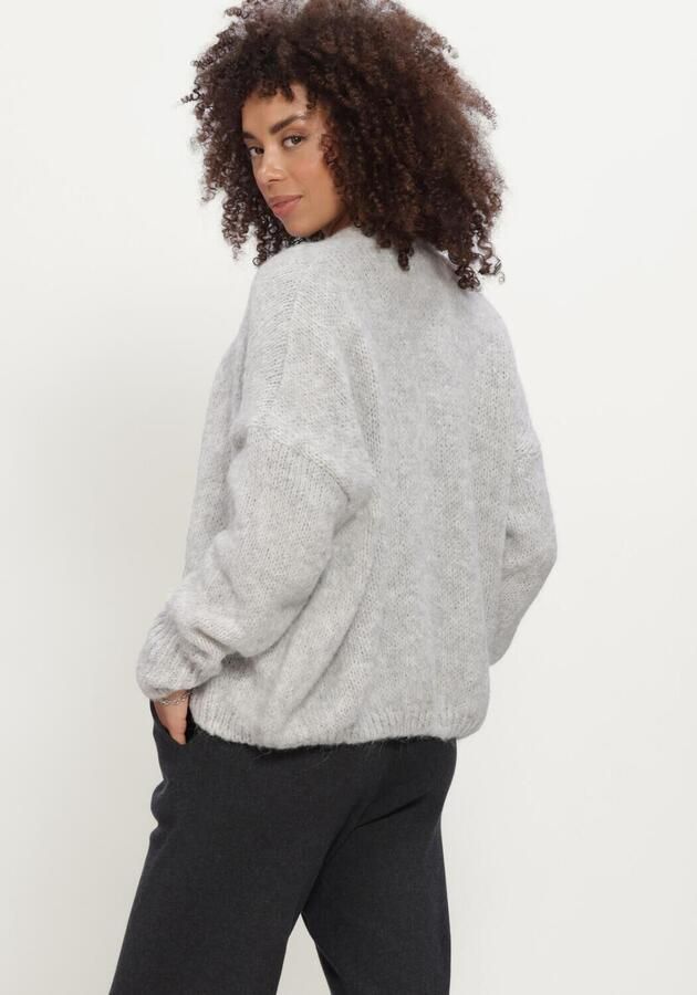 KNIT-TED Dames Truien & Vesten Becky Cardigan Lichtgrijs - Foto 3