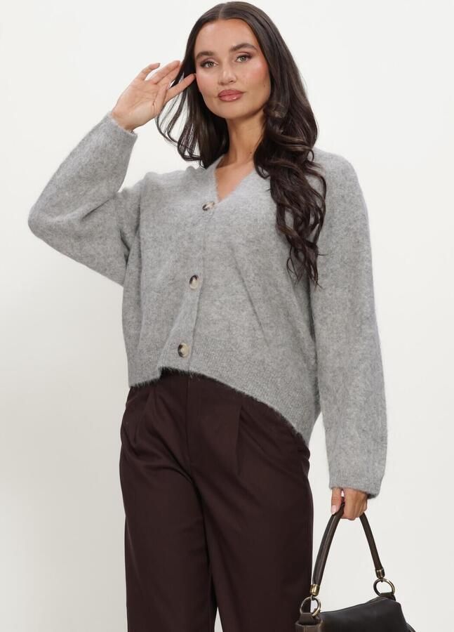 KNIT-TED Dames Truien & Vesten Maris Cardigan Lichtgrijs - Foto 1
