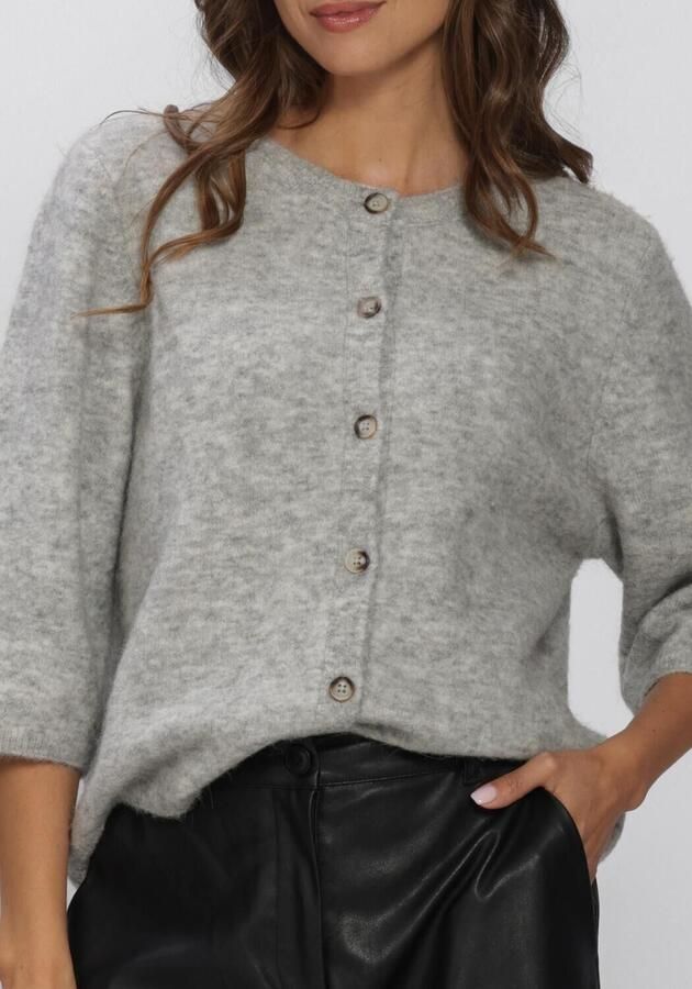 KNIT-TED Dames Truien & Vesten Meg Cardigan Lichtgrijs - Foto 4
