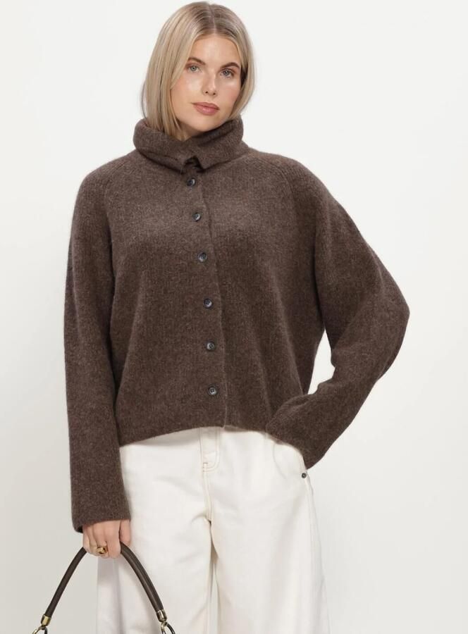 KNIT-TED Dames Truien & Vesten Milo Cardigan Bruin