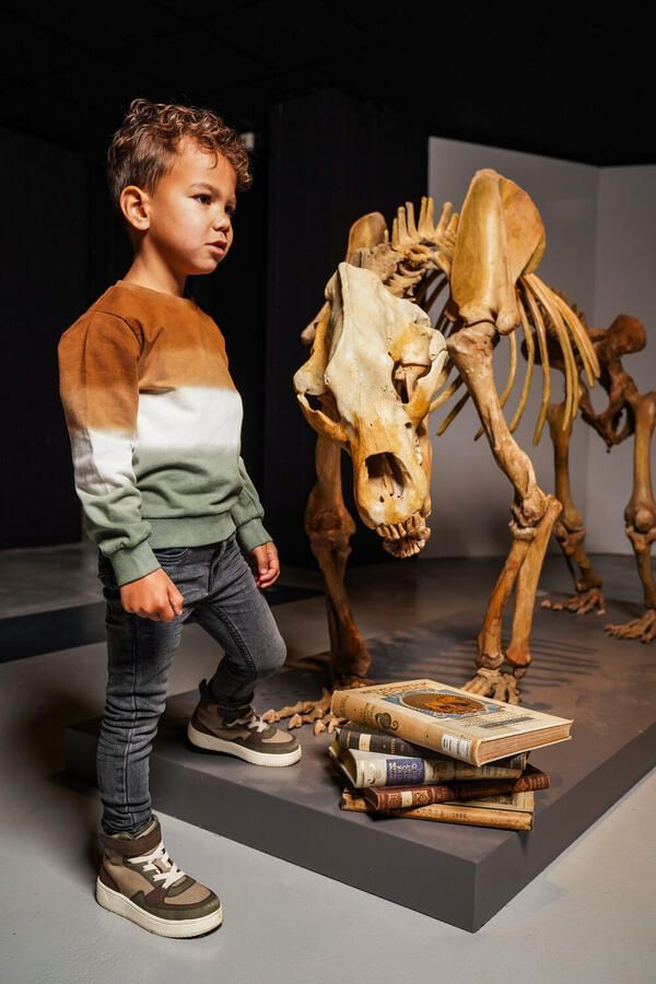 KOKO NOKO Jongens Truien & Vesten O56889 Multi - Foto 2