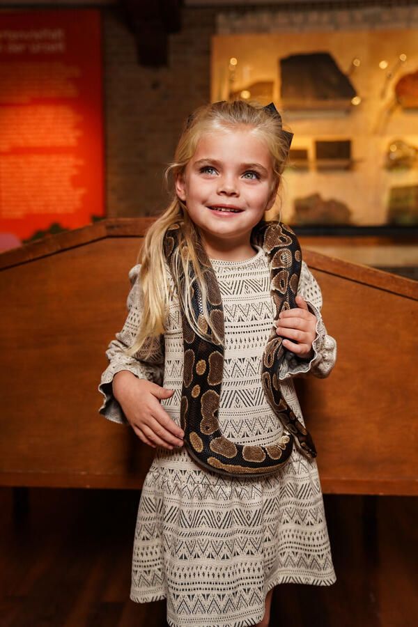 KOKO NOKO Meisjes Jurken O56943 Gebroken Wit - Foto 2