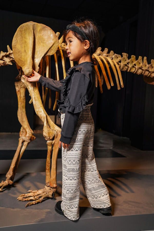 KOKO NOKO Meisjes Truien & Vesten O56934 Donkergrijs - Foto 2