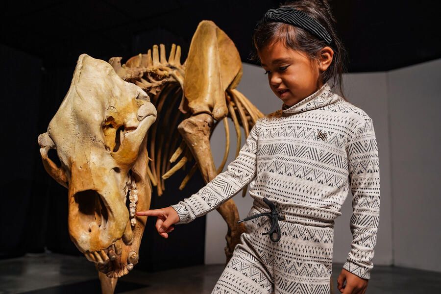 KOKO NOKO Meisjes Truien & Vesten O56937 Gebroken Wit - Foto 2