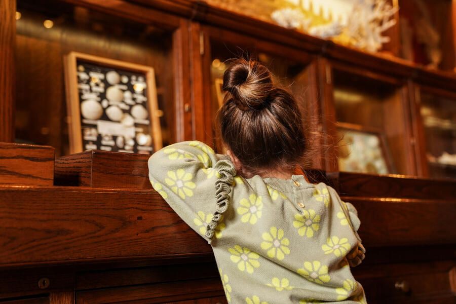 KOKO NOKO Meisjes Truien & Vesten O56953 Groen - Foto 2