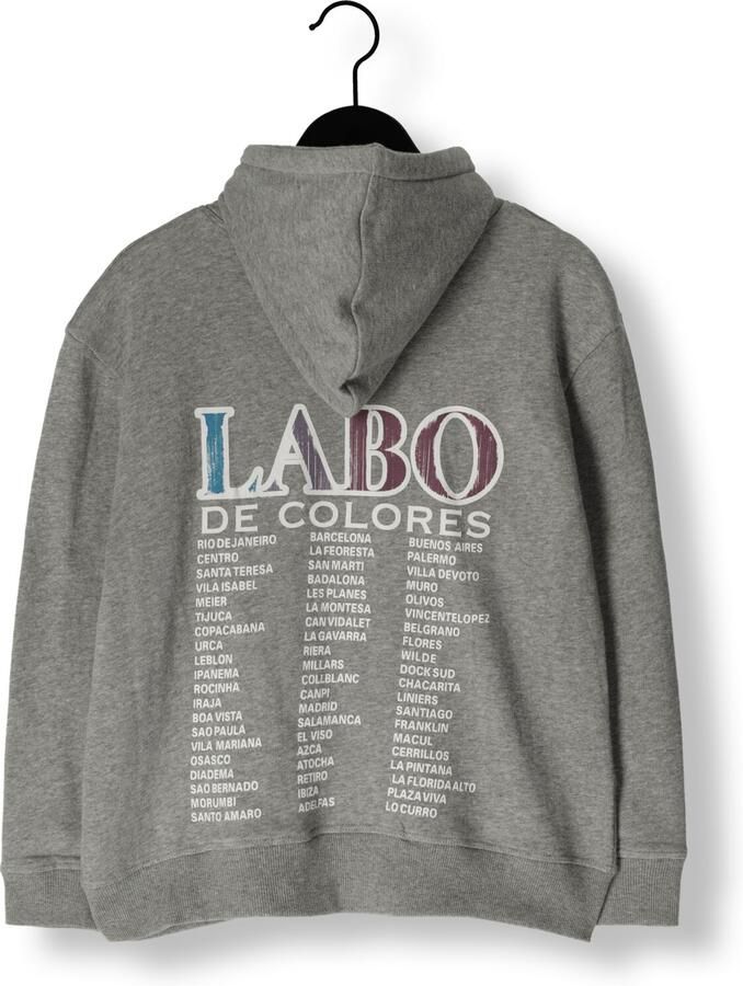 Labo de Colores Jongens Truien & Vesten Hanno Grijs