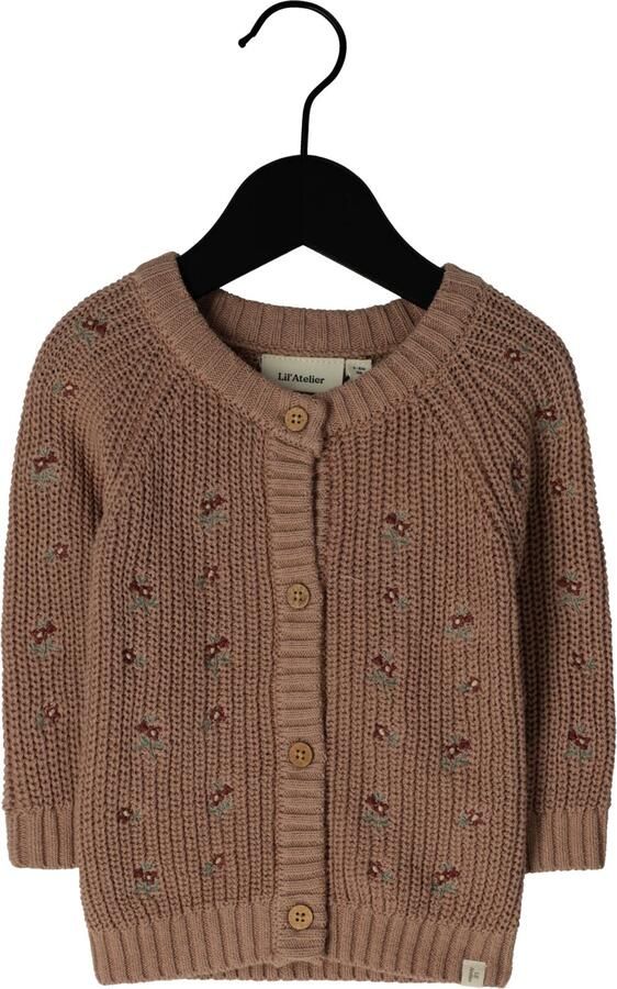 LIL' ATELIER Baby Truien & Vesten Nbfemlen Emb Ao Ls Knit Card Lil Taupe