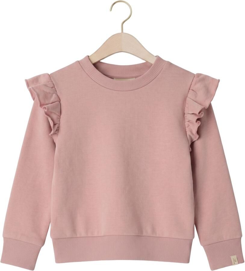 LIL' ATELIER Baby Truien & Vesten Nbfilondon Res Ls Sweat Bru Lil Roze