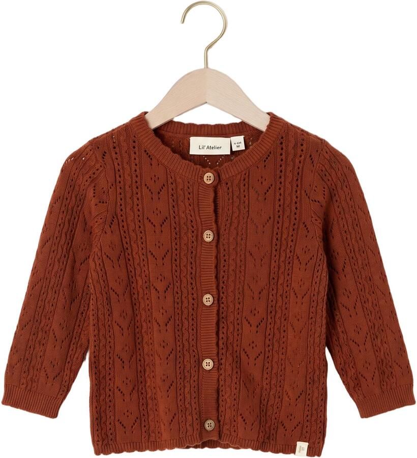 LIL' ATELIER Baby Truien & Vesten Nbfkajsa Kas Ls Knit Card Lil Bruin