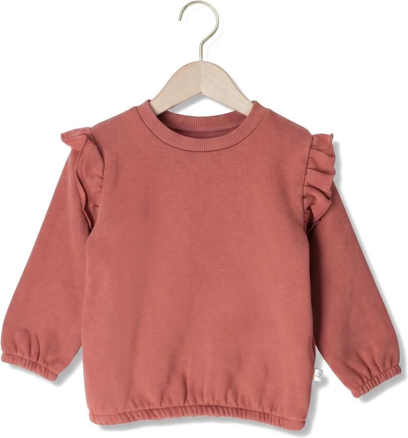 LIL' ATELIER Baby Truien & Vesten Nbfkilano Ls Loose Sweat Bru Lil Roze