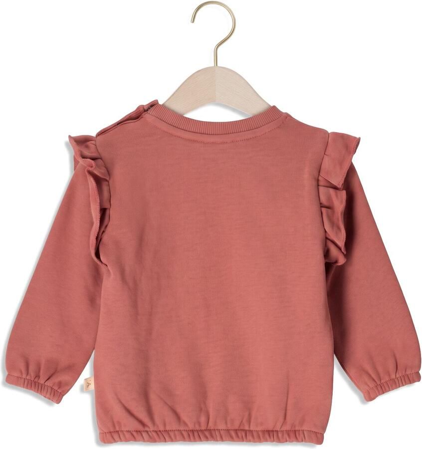 LIL' ATELIER Baby Truien & Vesten Nbfkilano Ls Loose Sweat Bru Lil Roze - Foto 2