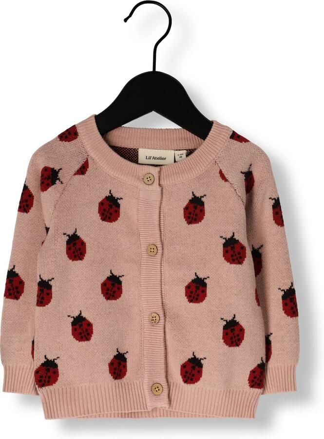 LIL' ATELIER Baby Truien & Vesten Nbflulio Knit Card Lil Lichtroze - Foto 3