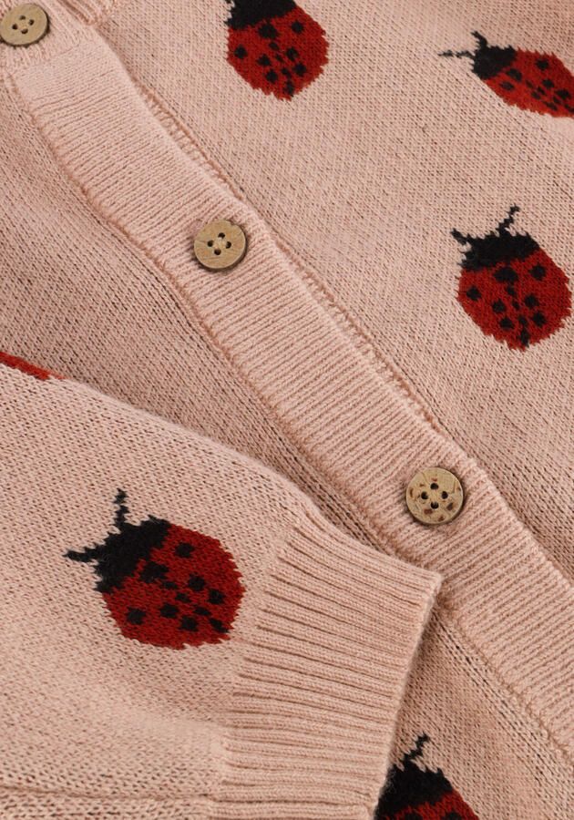 LIL' ATELIER Baby Truien & Vesten Nbflulio Knit Card Lil Lichtroze - Foto 2