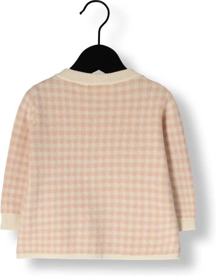 LIL' ATELIER Baby Truien & Vesten Nbfnadie Ls Loose Knit Lil Roze
