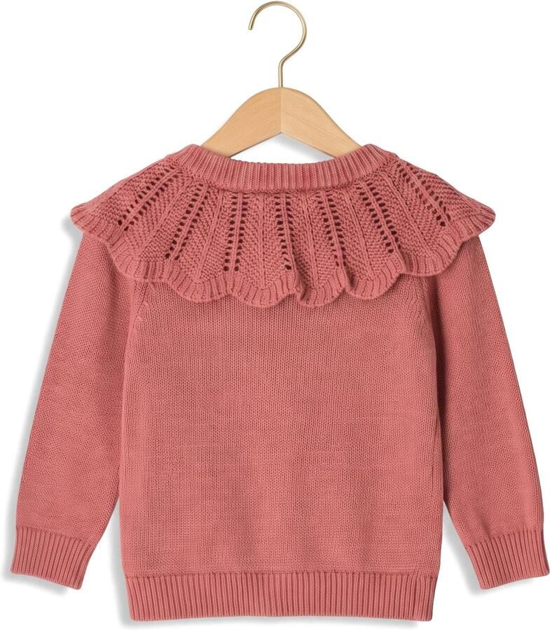LIL' ATELIER Baby Truien & Vesten Nbfnoda Ls Knit Card Lil Roze - Foto 2