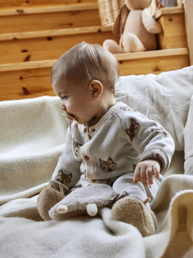 LIL' ATELIER Baby Truien & Vesten Nbmlamoe Ls Knit Card Lil Beige