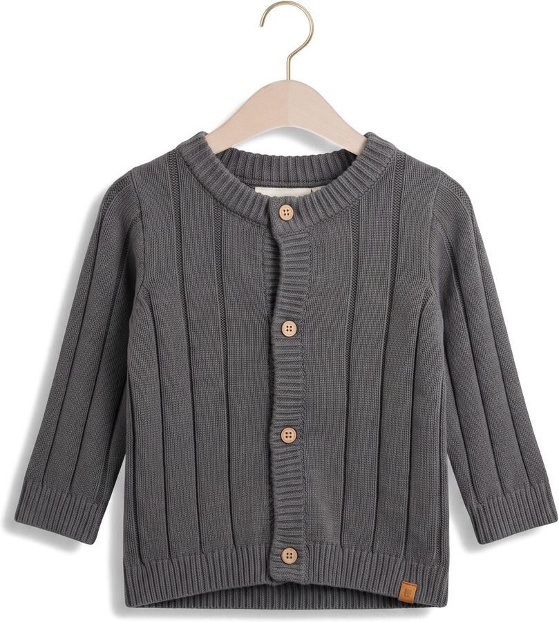 LIL' ATELIER Baby Truien & Vesten Nbmlomon Ls Knit Card Lil Donkergrijs