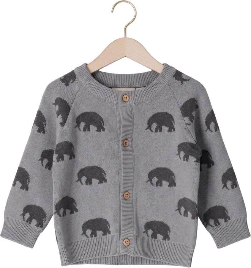 LIL' ATELIER Baby Truien & Vesten Nbmlulio Knit Card Lil Grijs