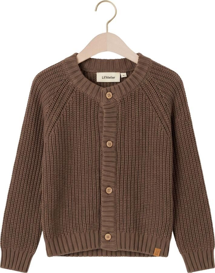 LIL' ATELIER Baby Truien & Vesten Nbnemlen Ls Knit Card Lil Noos Bruin