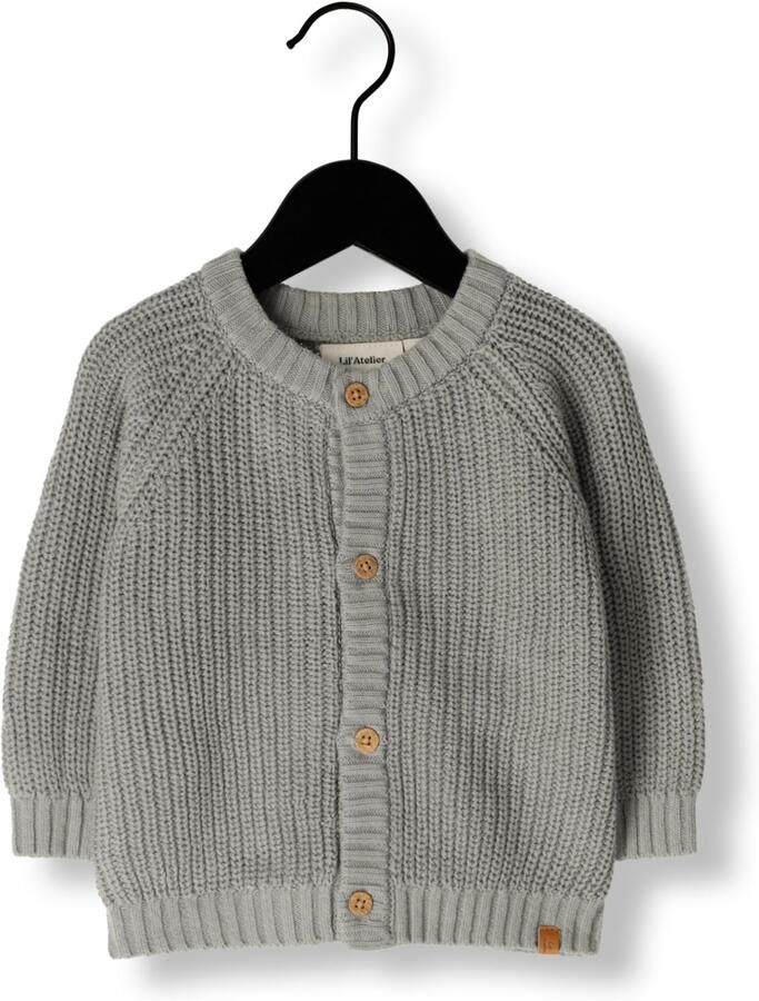 LIL' ATELIER BABY gebreid vest NMNEMLEN lichtgrijs Jongens Katoen Ronde hals 62 - Foto 2