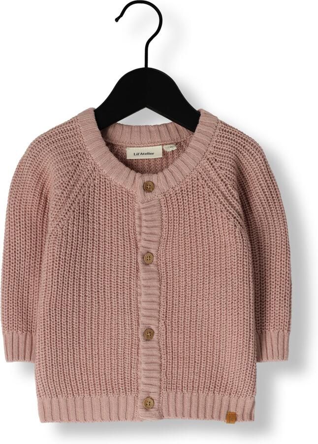 LIL' ATELIER Baby Truien & Vesten Nbnemlen Ls Knit Card Lil Noos Lichtroze - Foto 3