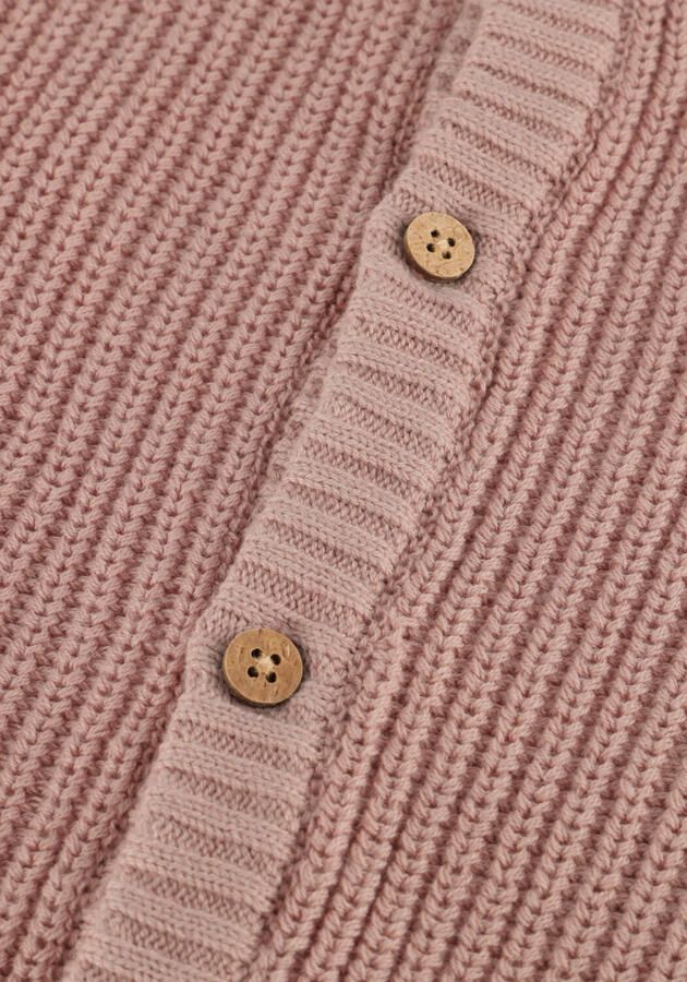 LIL' ATELIER Baby Truien & Vesten Nbnemlen Ls Knit Card Lil Noos Lichtroze - Foto 2