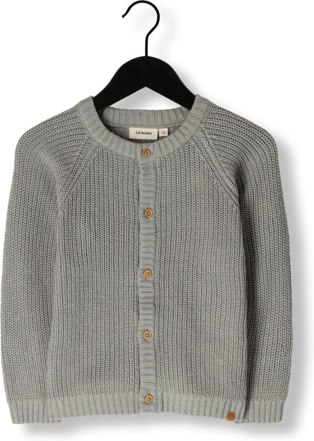 LIL' ATELIER MINI gebreid vest NMNEMLEN grijs Jongens Katoen Ronde hals 122 128