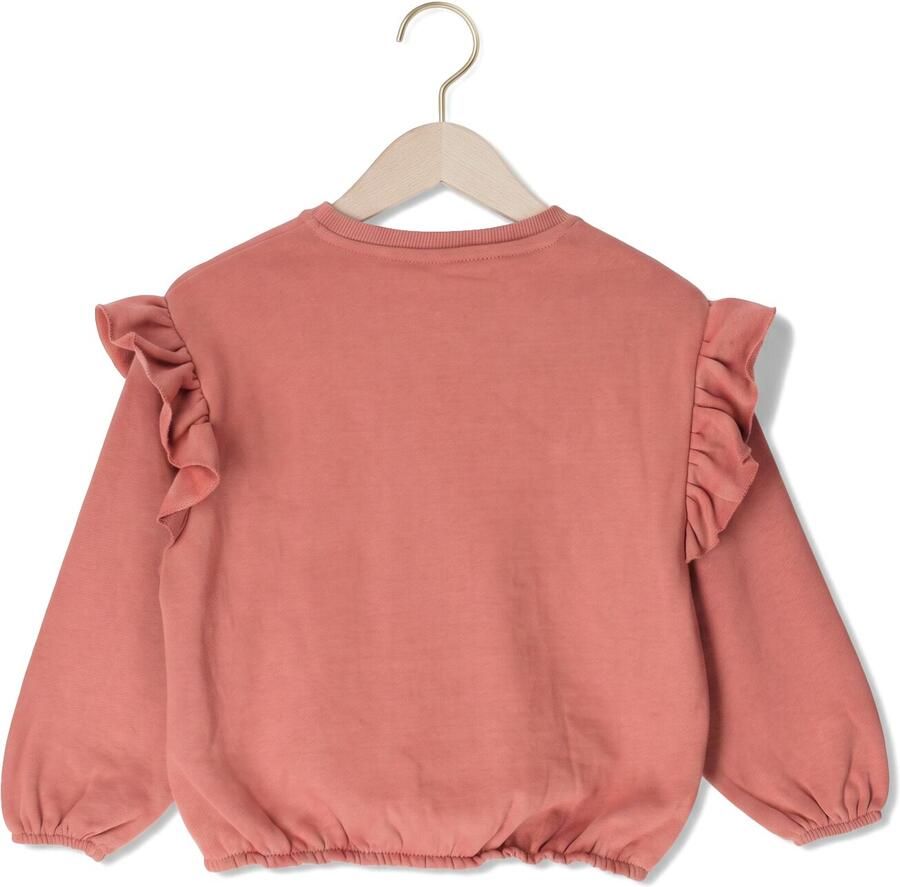 LIL' ATELIER Meisjes Truien & Vesten Nmfkilano Ls Loose Sweat Bru Lil Roze - Foto 2