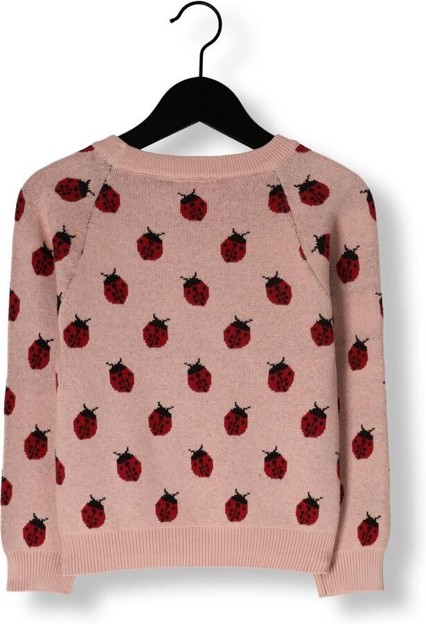 LIL' ATELIER Meisjes Truien & Vesten Nmflulio Ls Knit Lil Lichtroze - Foto 2