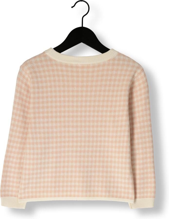 LIL' ATELIER Meisjes Truien & Vesten Nmfnadie Ls Loose Knit Lil Lichtroze