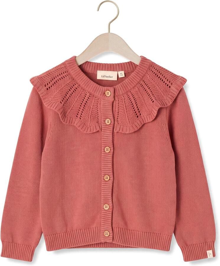 LIL' ATELIER Meisjes Truien & Vesten Nmfnoda Ls Knit Card Lil Roze