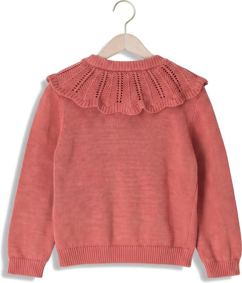 LIL' ATELIER Meisjes Truien & Vesten Nmfnoda Ls Knit Card Lil Roze - Foto 2
