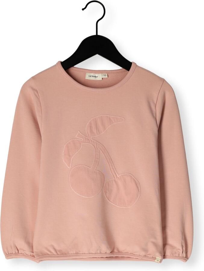 LIL' ATELIER Meisjes Truien & Vesten Nmfomads Pir Ls Sweat Lil Lichtroze