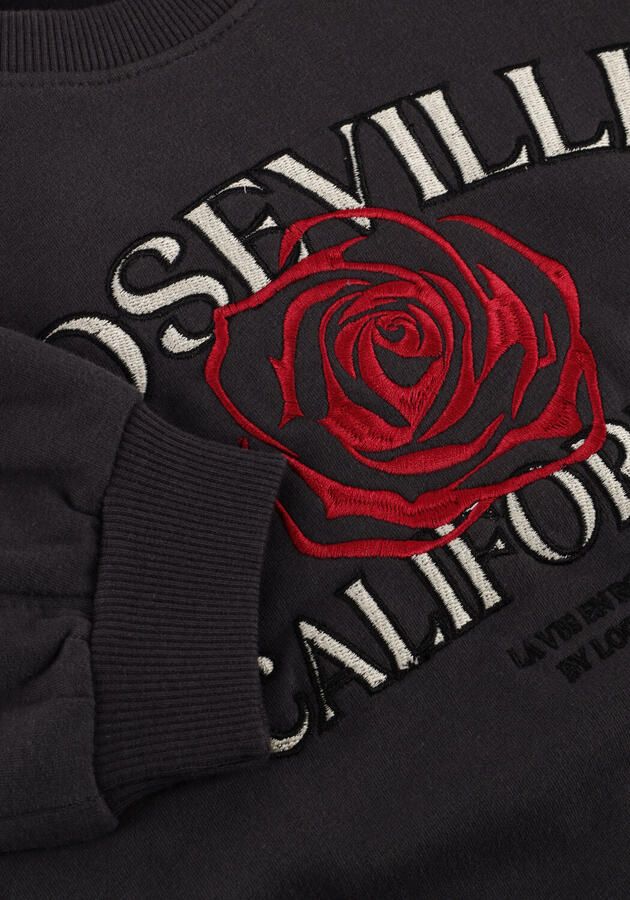 LOOXS 10sixteen Meisjes Truien & Vesten 2532-5318 Donkergrijs