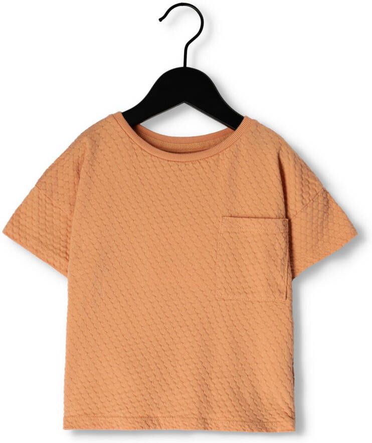 LÖTIEKIDS Lötiekids Jongens Polo's & T-shirts Textured Short Tshirt Beige