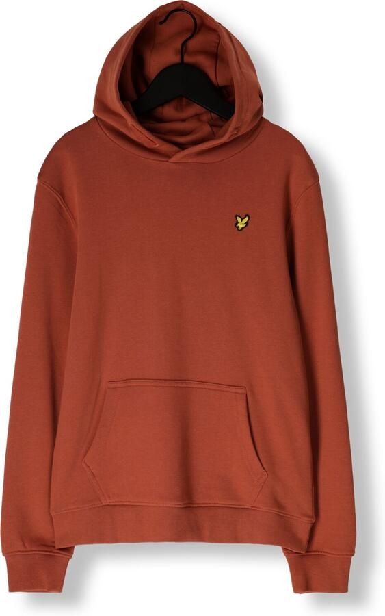LYLE & SCOTT Jongens Truien & Vesten Pullover Hoodie Boys Bruin - Foto 3